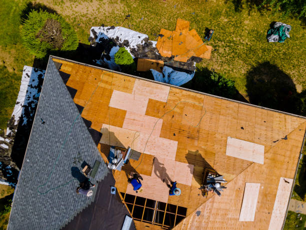 Quick and Trustworthy Emergency Roof Repair Services in Knoxville, TN